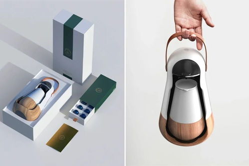 優(yōu)秀產(chǎn)品設(shè)計(jì)欣賞與制作 融合美學(xué)與實(shí)用性的藝術(shù)